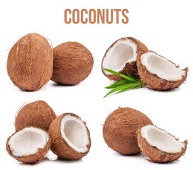 Set of four compositions of coconuts isolated - 72874844