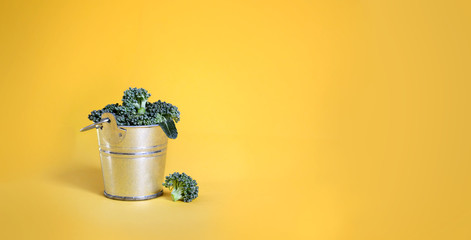 Broccoli in a bucket on yellow background