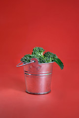 Broccoli in a bucket on red background