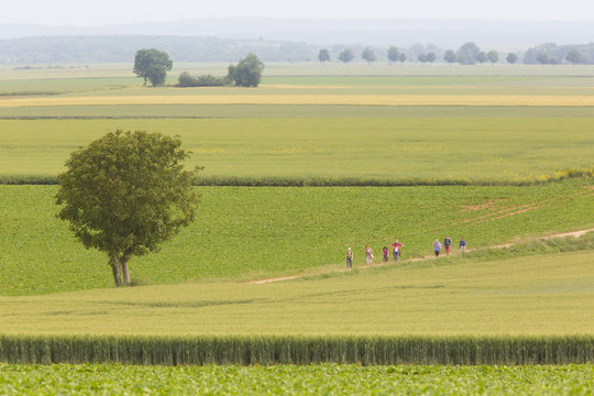 marche promenade
