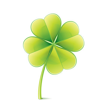 Clover leaf isolated on white vector