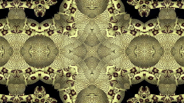 Looping Kaleidoscope Patterns