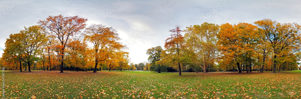 Canvas Prints 360 degree forest fall panorama