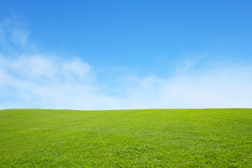 Obraz na płótnie Canvas green field with blue sky