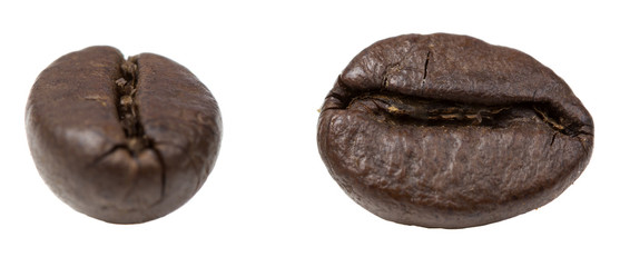 Two coffee grains