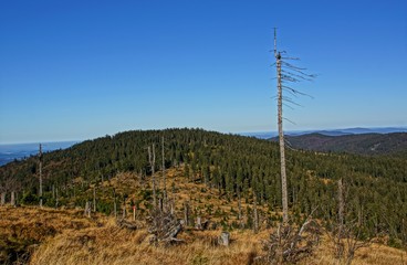 Wandern im Bayerischen Wald