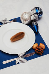 blue and brown new year laying