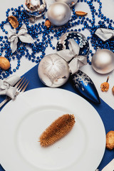 blue and brown new year laying