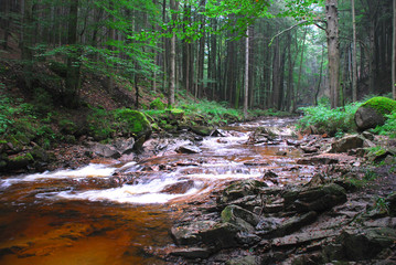 Obraz premium das Ilsebett