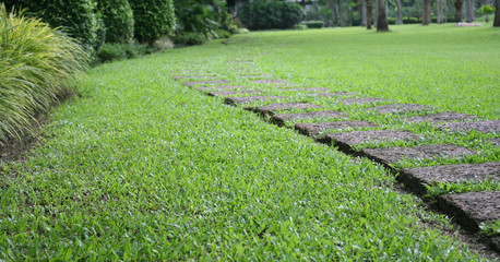 The stone block walk path in the garden with green grass