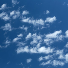 Fototapeta premium cirrus clouds