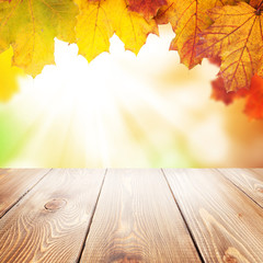 Naklejka na ściany i meble Autumn nature background with maple leaves, wooden table