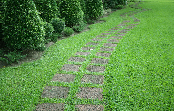 The stone block walk path in the garden with green grass