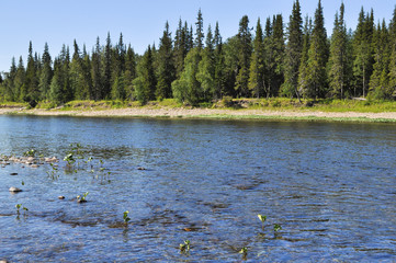 Obraz premium Pebbles on the banks of Ural taiga river.