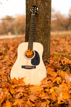 Guitar on autumn leaves