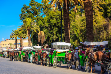 Pferdekutschen auf Gaukler Platz in Marrakesch