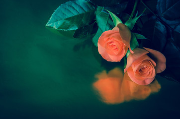 funeral card with roses