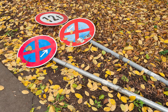 Absolutes Halteverbot - Verkehrsschilder liegen im Herbstlaub