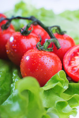fresh tomatoes close-up
