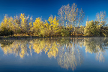 Coot Lake Autumn Reflections
