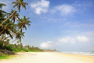 Beach on Sri Lanka.