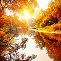 Fluss in einem herrlichen Herbstwald © Givaga