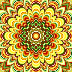 Colorful flower striped mandala