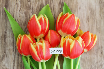 Sorry card with red and yellow tulips