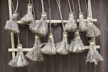 Witches brooms