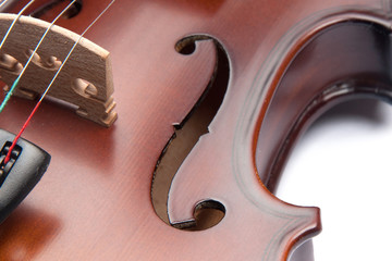 violin
