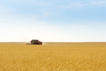 grain harvester combine in field