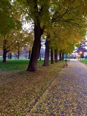 autumn