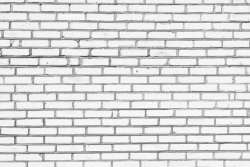 White brick wall background.