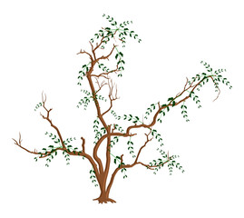 Autumn Dry Leaves Tree Branches