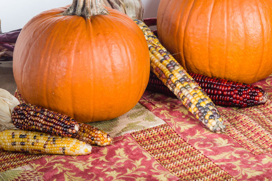 Orange pumpkins with colorful ears of corn