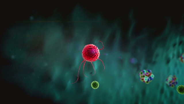 Coronavirus atack the lungs cells, Phagocyte, Macrophage