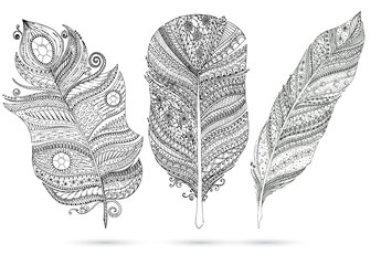 Vector set of doodle feathers on white background.
