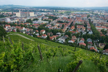 Piramida Hill in Maribor