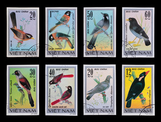 Post stamp. Birds