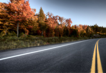 Autumn Colors and road