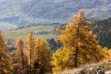Autunno in montagna dall'alto