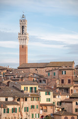 Fototapeta premium landscape of siena with tower of Mangia