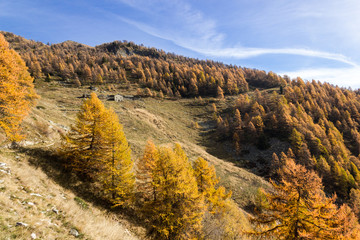 Obraz premium Panorama autunnale in montagna