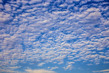 Fototapeta premium Blue Sky with Clouds.