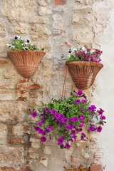Fototapeta na wymiar Flower pot hanged on stone wall