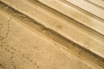 Fototapeta premium Prints on sand
