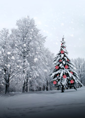 Christmas tree with red glass balls