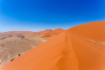 Fototapeta na wymiar Dune 45 in sossusvlei Namibia, view from the top of a Dune 45