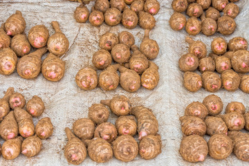 Taro corm in Thai fresh market