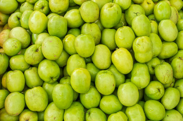 Ziziphus mauritiana also known as Jujube is a tropical fruit